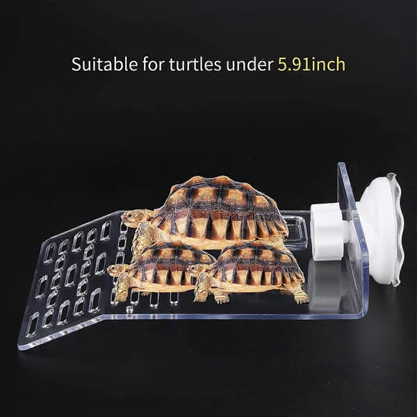 Tørreplade til skildpadder, akvarium transparent tankdock, medium størrelse
