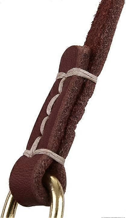 Læder Hundesnor, Lille til Mellem Hund, Brun