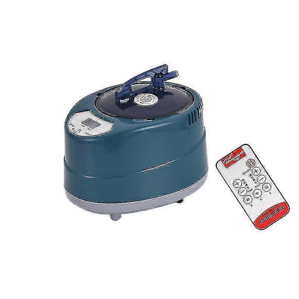1000w Sauna Steamer Pot Maskine i Rustfrit Stål Bærbar Sauna Dampgenerator Fumigationsmaskine Til Hjemmespa, grøn