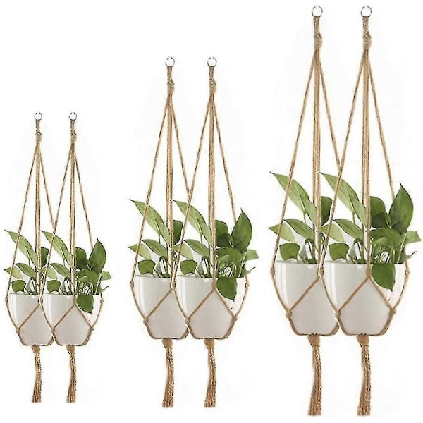 6 Delar, Växthållare, Hängande Korg, Hängande Blomkrukor, Hängande Blomkruka
