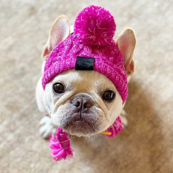 Vinterhundmössa,varm Pet Pompom Stickad Mössa Varm Pet Stickad Snood Huvudbonad med öronhål För medelstora hundar Fransk Bulldog Pink L