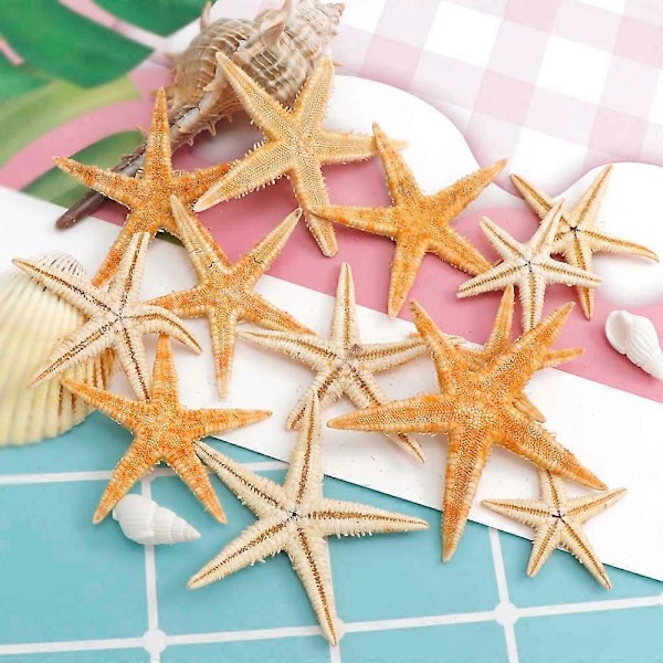 100 stk. Naturlig Sjøstjerne Skjell Strandhåndverk Naturlige Sjøstjerner DIY Strand Bryllupsdekorasjon Håndverk