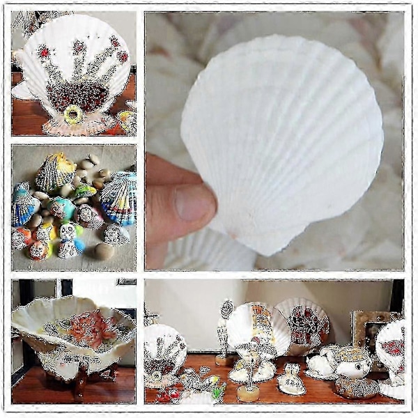 25 st Kammusselskål, För Diy Diy Färgläggning Skål-lian