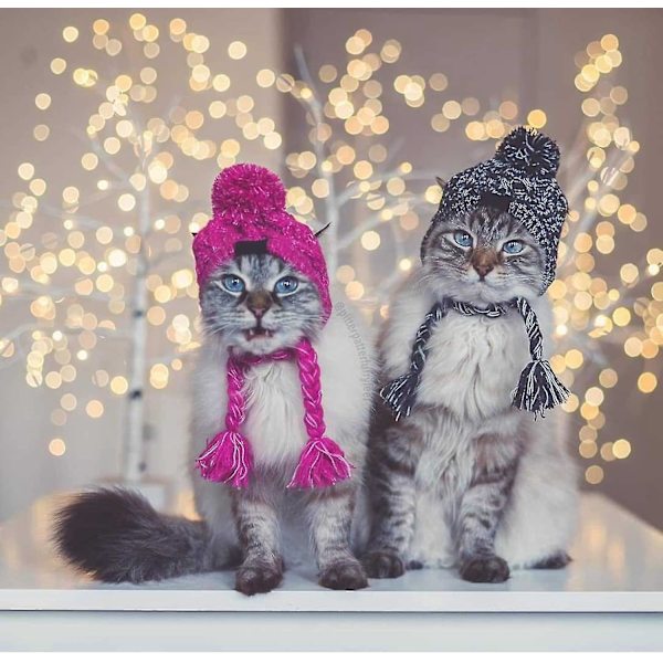 Vinterhundmössa,varm Pet Pompom Stickad Mössa Varm Pet Stickad Snood Huvudbonad med öronhål För medelstora hundar Fransk Bulldog Pink S