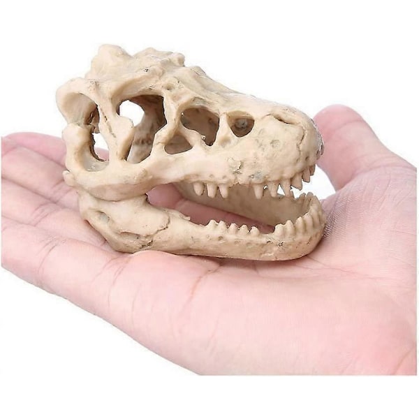 Akvariedekoration Harpiks Simulation Kranie-Dinosaur Kranie Skelet Ornament-Fisketank Lille Kranie