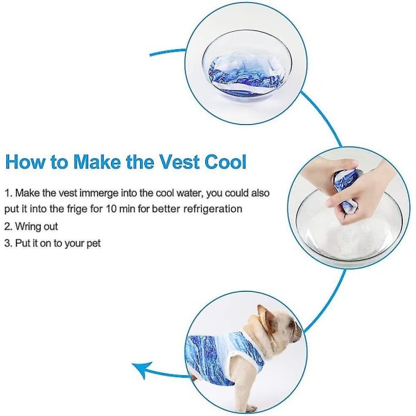 Hund kylväst Sele, andas Cool Pet Cooler Väst, Pet Jacka Mesh Andas kyljacka för små medelstora hundar Utomhus promenader Vandring Blue M
