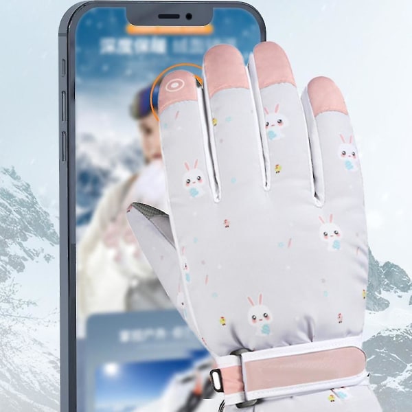 Skidsnöhandskar Vinterkallt väder Vindtäta varma skidor SK13 Grey Snowflake rabbit