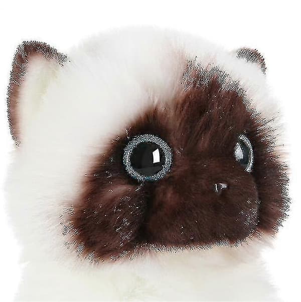 Söpö Ragdoll-kissa pehmolelu -jie