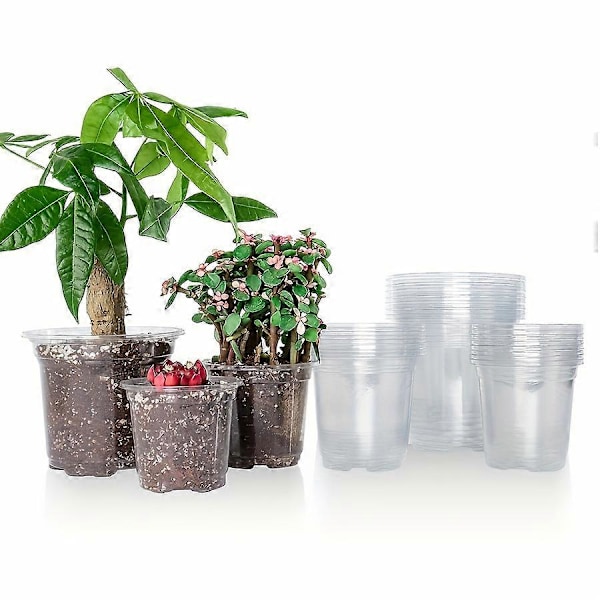 30 st Förstärkta Genomskinliga Plantkrukor, Plastplantkrukor med Dräneringshål, Transparent Plantkruksortiment, Plastblomkrukor för Plantor