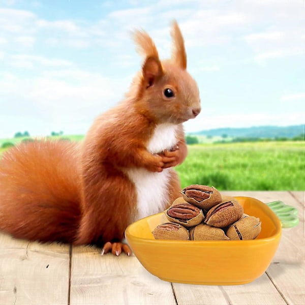 Keramisk Djurskål - Morot - Keramisk Skål för Hamster, Marsvin, Råtta, Kanin