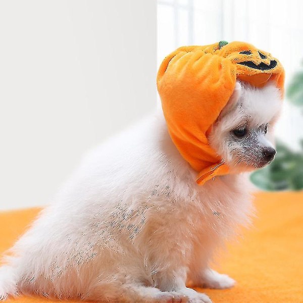 Halloween Pumpa Pet Hat Orange Pumpa Hat Pet Huvudbonad Tillbehör Kostym M