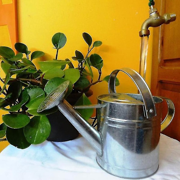 Näkymätön Virtaava Juoksuputki Kastelukannu Suihkulähde Sinkkiseoksesta Kelluva Hana Suihkulähde Kotiin Puutarhaan