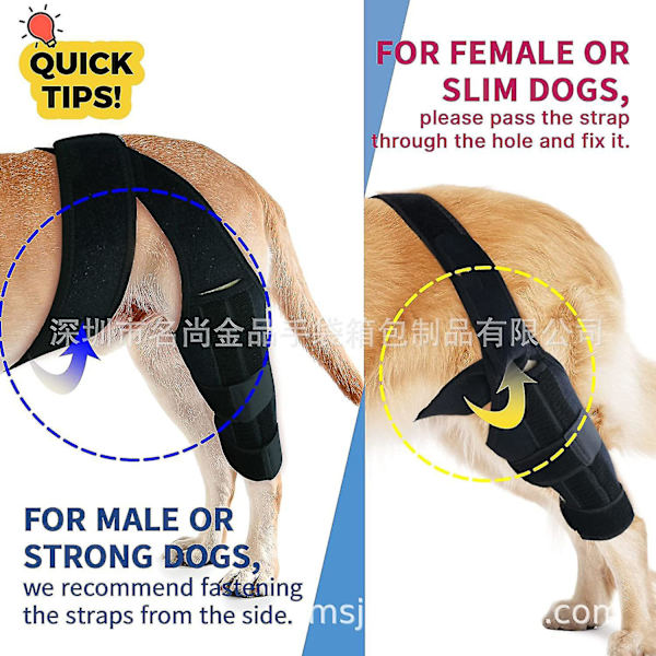 Hundknäbyte Hundbensbygel för sönderriven Acl Bakben Hundhöftbygel för stöd,hund Acl-knästöd för luxating patella, reducerar artritsmärta
