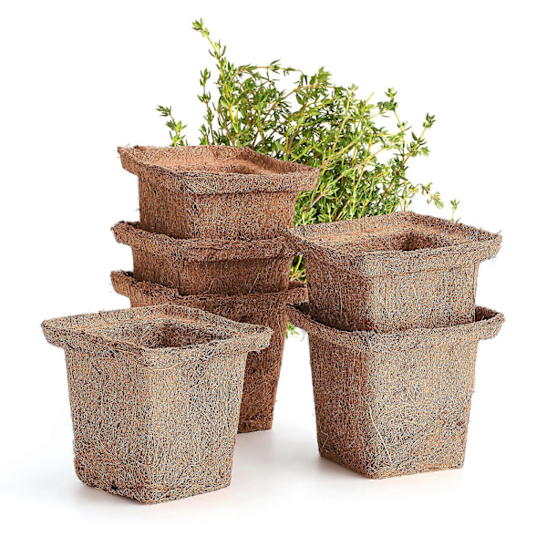 Engros - Kokosfiber Spande Urte Blomsterpotter 6 stk. Plantebakke til Haven