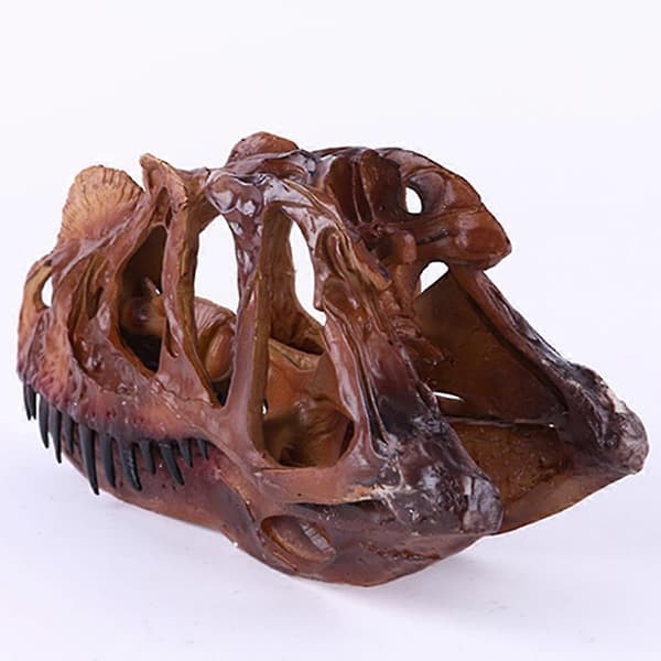Dinosaur Dilophosaurus Hodeskalle Figur For