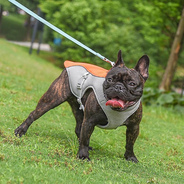 Kylväst för Hund Sommar Hundjacka, Hund Svalare Andningsbar Väst Avdunstningskylning orangeXL