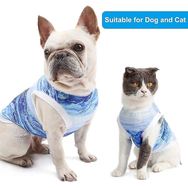 Hund kylväst Sele, andas Cool Pet Cooler Väst, Pet Jacka Mesh Andas kyljacka för små medelstora hundar Utomhus promenader Vandring Blue L