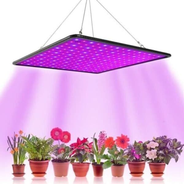 1000W LED Grolys – Rødt og Blåt Lys – Hurtig Vækst og Blomstring – Nem Installation til Drivhuse og Telte