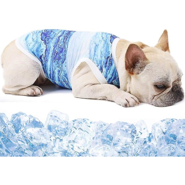 Hund kylväst Sele, andas Cool Pet Cooler Väst, Pet Jacka Mesh Andas kyljacka för små medelstora hundar Utomhus promenader Vandring Blue S