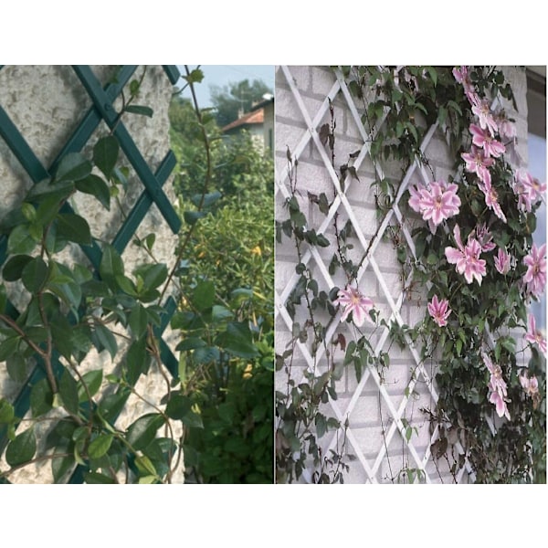 Ekspanderende Hage PVC Plast Espalier Klatreplanter Vegg 1.8mx30cm