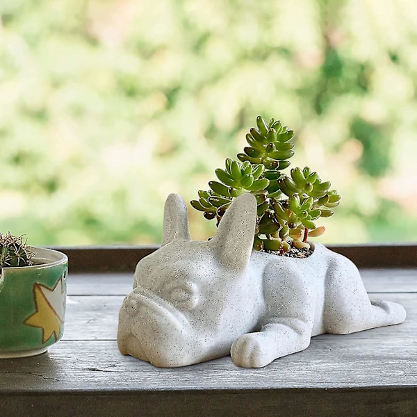 Liten Suckulentkruka för Hundar, Växtkruka i Resin, Fransk Bulldog Formad Blomkruka, Mini Valp Växtkruka