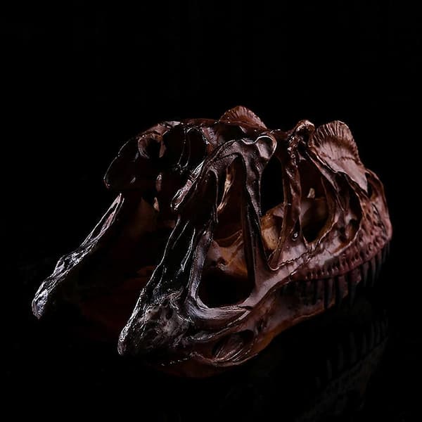 Dinosaur Dilophosaurus Hodeskalle Figur For