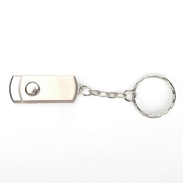 USB Minneplugg Bærbar Stor Lagringsplass Minnebrikke U Disk for Window2003/XP/Vista/7/8/10/OS X/Linux 16GB