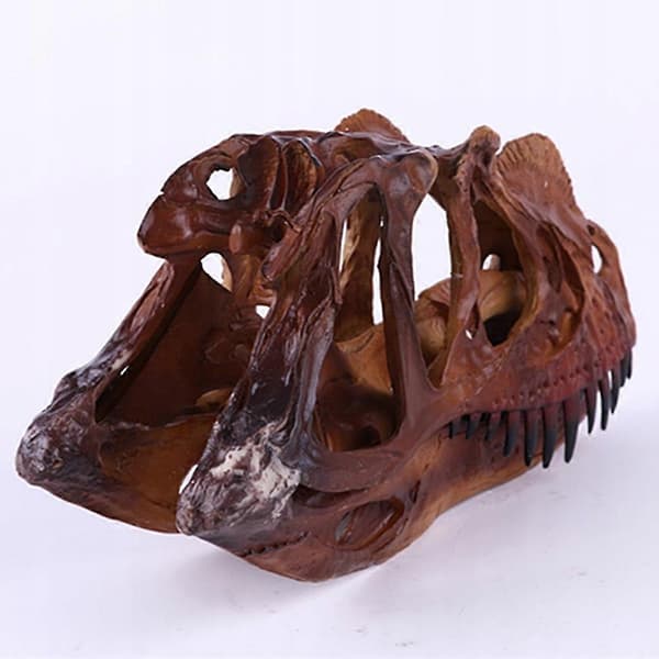 Dinosaur Dilophosaurus Hodeskalle Figur For
