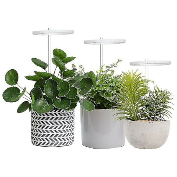 LED vekstlys for innendørs planter og sukkulenter
