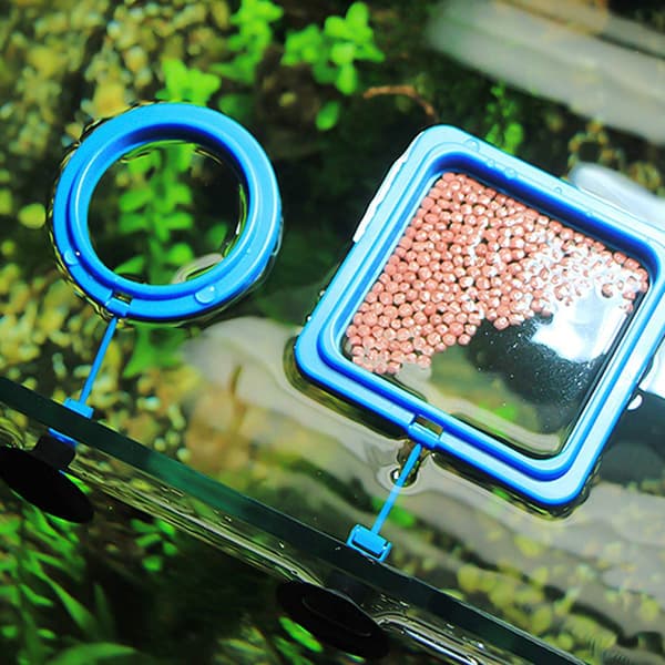 Fiskefoderring, Fiskesikker Flydende Foder Cirkel, med Sugekop Let at Installere Akvarium