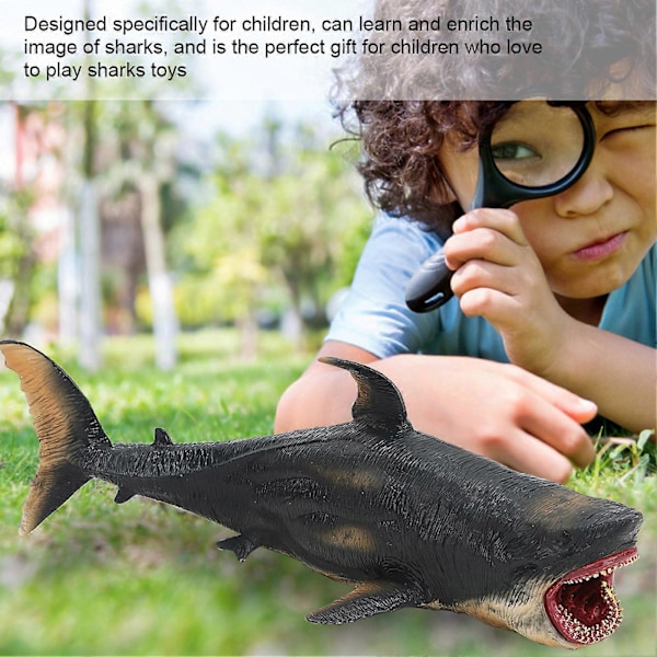 Hajmodell Simulering Marin Ocean Havsliv Leksak Djur Sällsynt Modell Figur Ihålig Megalodon