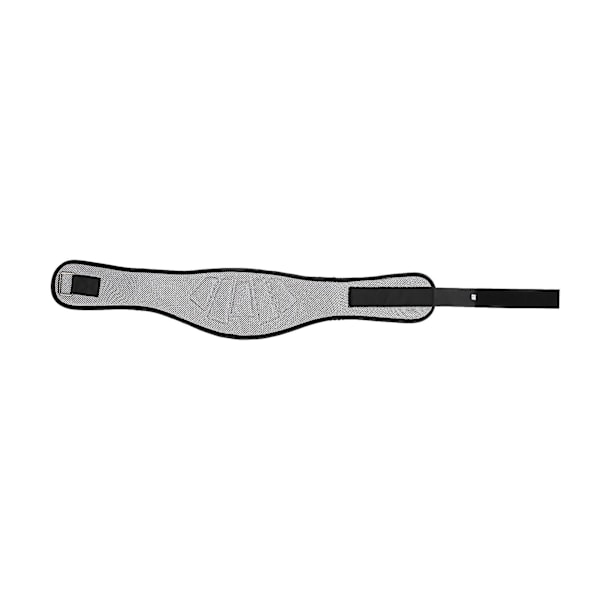 Sport Tyngdlyftningsbälte Andningsbart Absorberar Svett Justerbar Åtdragning Midjeskydd Stödbälte för Träning L 99 X 32 X 18cm / 39 X 12.6 X 7.1in