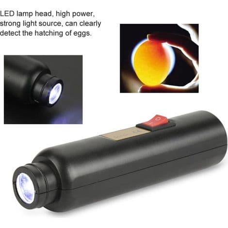 Æggetester - LED æggelyser. Mini oplyst rugemaskine