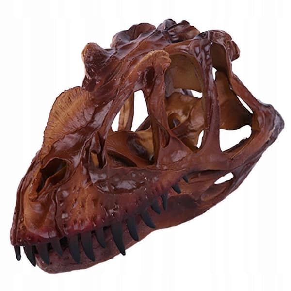 Dinosaur Dilophosaurus Hodeskalle Figur For
