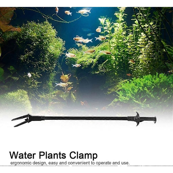 Akvariumtang, algeklemmer for vannplanter med langt håndtak, fôringsklemmer, sakser, pinsetter