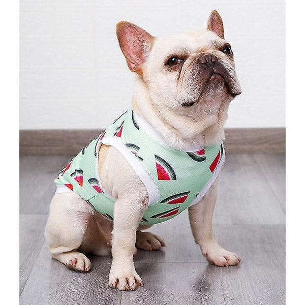 Hund kylväst Sele, andas Cool Pet Cooler Väst, Pet Jacka Mesh Andas kyljacka för små medelstora hundar Utomhus promenader Vandring Green L
