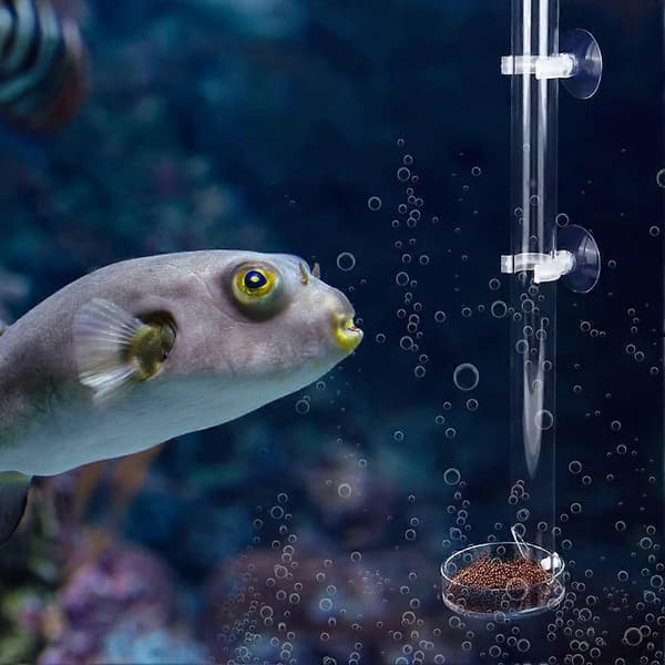 Akryl Gennemsigtig Holdbar Akvarium Fisk Reje Foder Fisketank Foderrør med Bakke (20cm)