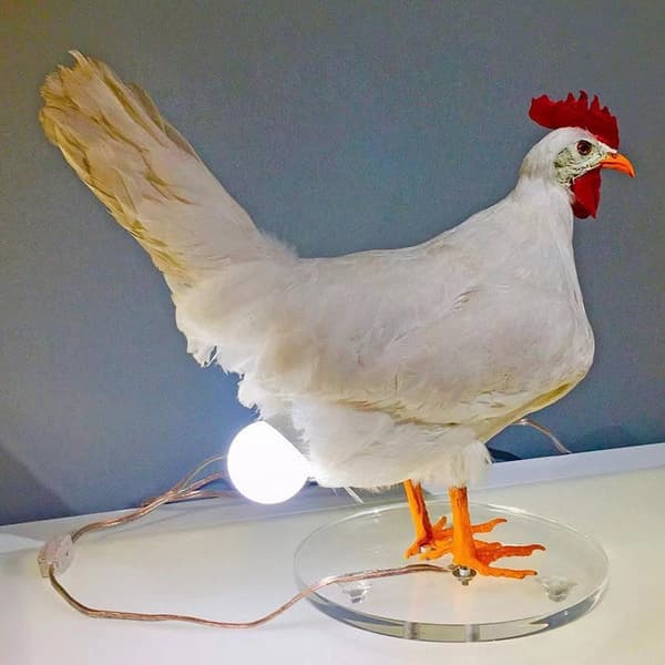 Harpiks LED eggelampe, eggelampe, skrivebordslampe, 3D høne som legger egg