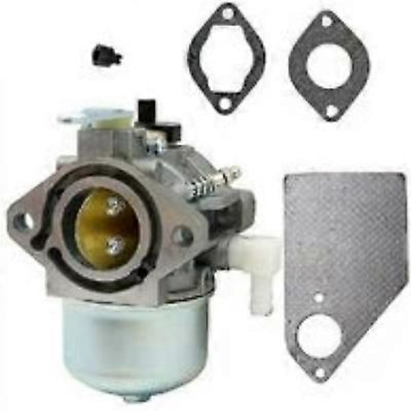 Passer til C1U-H60 308054003 3074504 985624001 25cc 26cc karburator