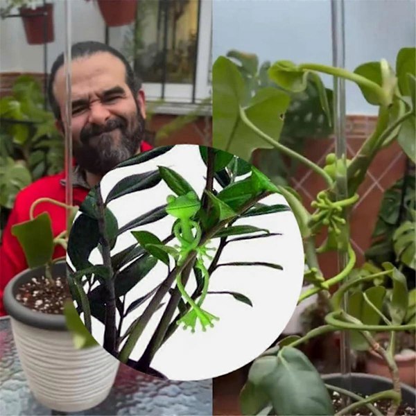 Groda Växtstativ Söt Groda Blomkruka Kramare Växt Klätterfäste Klämmor Trädgård Groda Klättergren