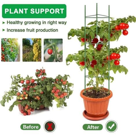 Tomatburssæt, tomatplantestøtter til haveplanter