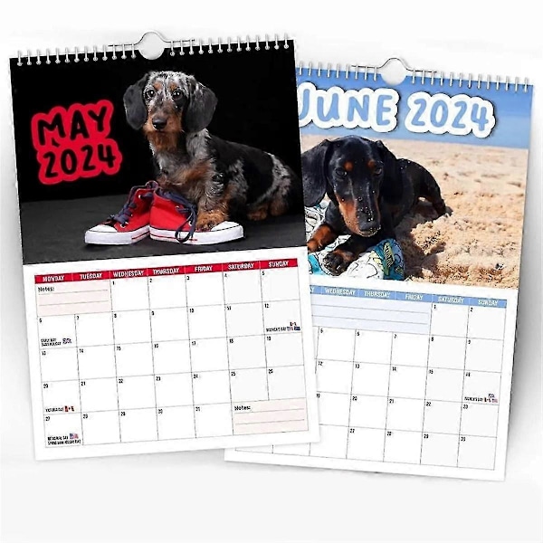 Papirkalender 2024 med Frække Dachshunde - Nyårsgaver, Gavevægkalender, Vægdekoration, Tidsplanlægning