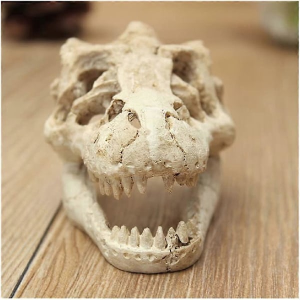 Akvariedekoration Harpiks Simulation Kranie-Dinosaur Kranie Skelet Ornament-Fisketank Lille Kranie