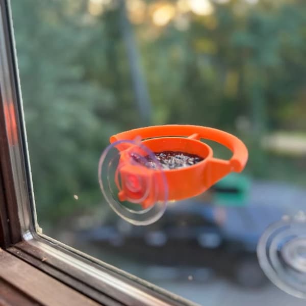 Uusi luova imukuppi-ikkunalintulauta, ulkolintulauta, oranssi