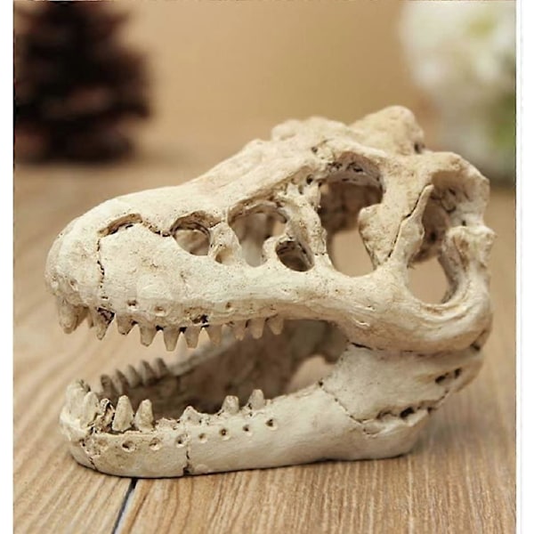 Akvariedekoration Harpiks Simulation Kranie-Dinosaur Kranie Skelet Ornament-Fisketank Lille Kranie