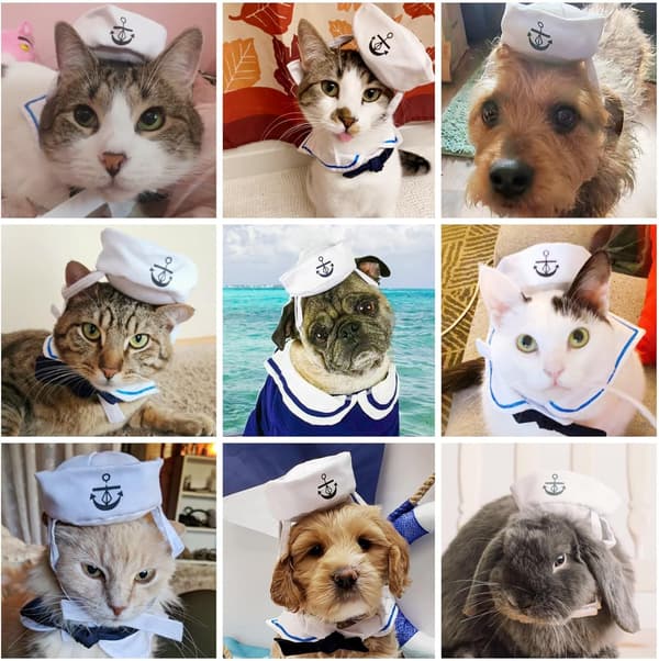 Sømandskostume til kæledyr til katte og små hunde