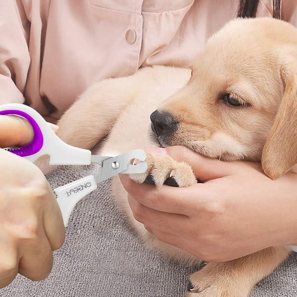Kloklippere til kæledyr, til katte og små hunde, lilla
