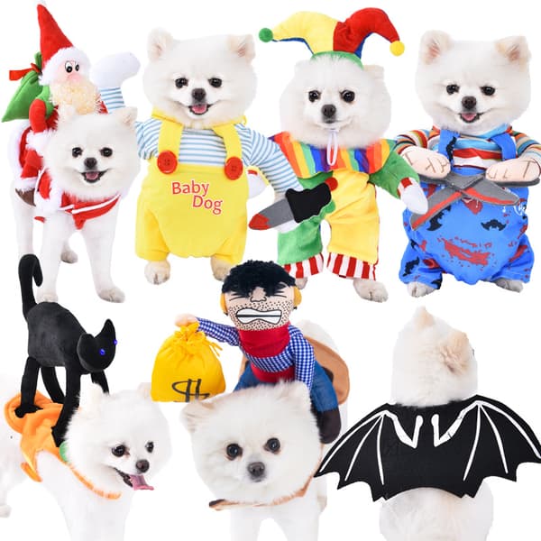 Halloween kostumer til hunde og katte, størrelse M