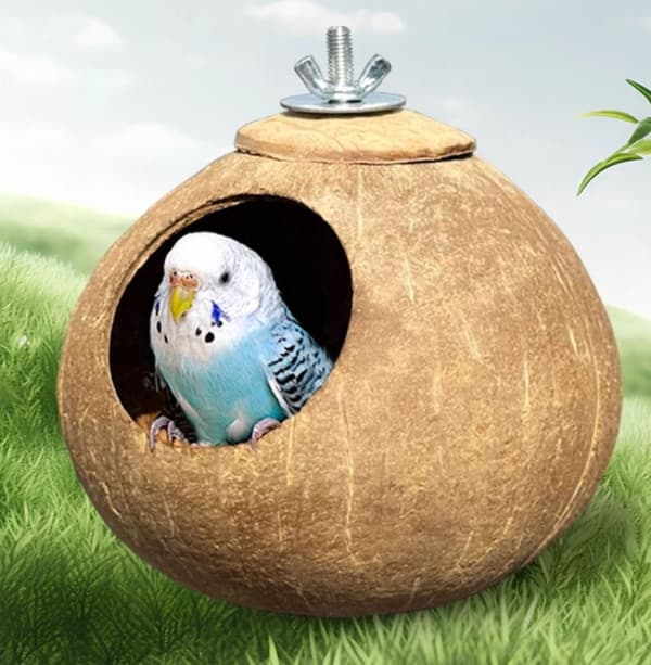 Linnunpesä