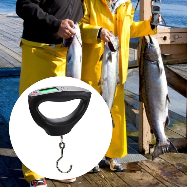 Digitaalinen näyttö Elektroninen kalastuspainovaaka 10g-50kg Kannettava Aaa-akku